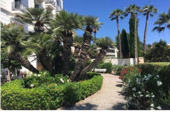 Winter Palace Cannes Bagian luar foto